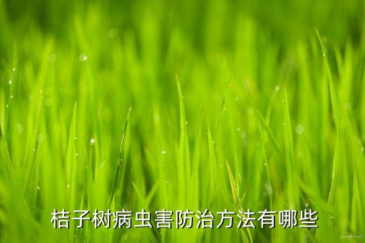 桔子樹打什么農(nóng)藥不長芽,打桔子樹的農(nóng)藥