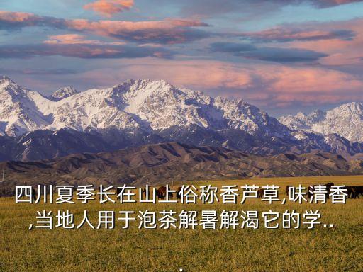 四川夏季長(zhǎng)在山上俗稱香蘆草,味清香,當(dāng)?shù)厝擞糜谂莶杞馐罱饪仕膶W(xué)...