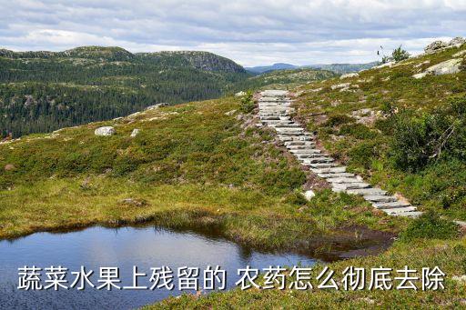 打了農藥的菜用什么解藥,什么農藥有特效解藥