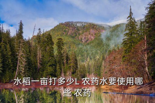  水稻一畝打多少L 農藥水要使用哪些 農藥