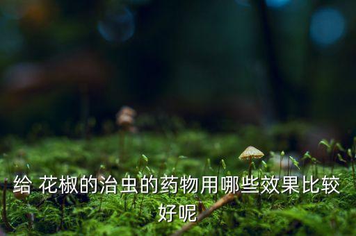 給 花椒的治蟲的藥物用哪些效果比較好呢