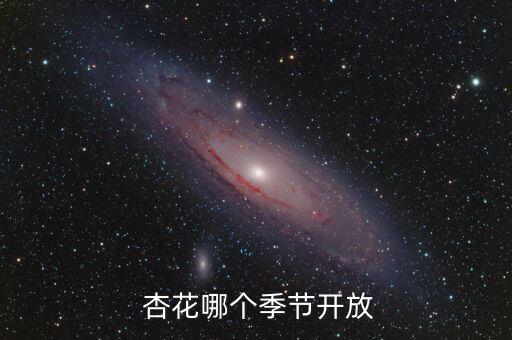  杏花哪個季節開放