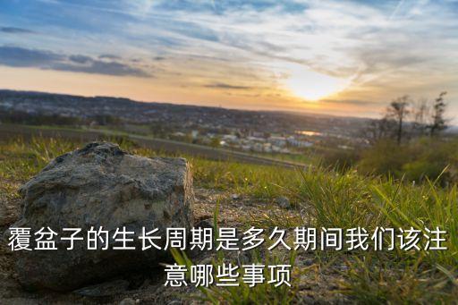 東南懸鉤子怕什么農(nóng)藥