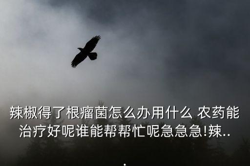 辣椒得了根瘤菌怎么辦用什么 農(nóng)藥能治療好呢誰(shuí)能幫幫忙呢急急急!辣...