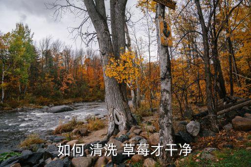草莓怕農藥用什么清洗好,如何清洗草莓農藥的方法