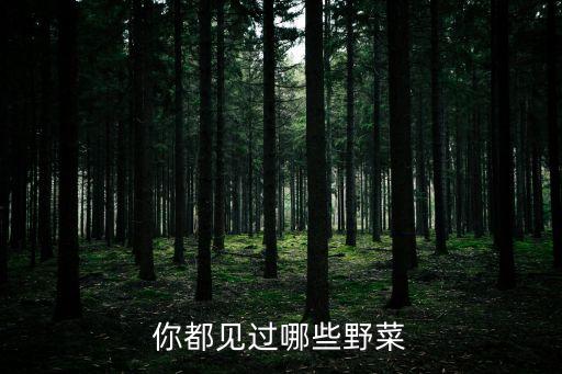 你都見過哪些野菜