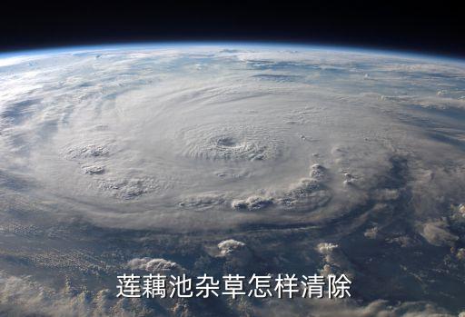蓮藕除草用什么農藥,蓮藕蟲害用哪種農藥