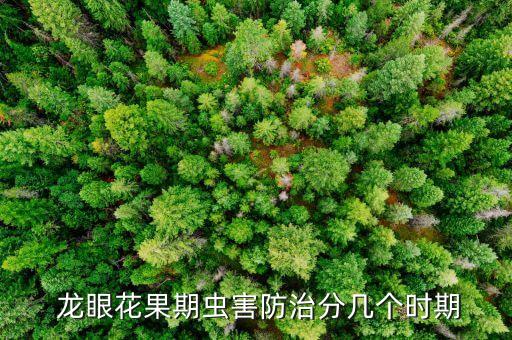 龍眼花噴什么農藥好點呢,龍眼殺梢用什么農藥