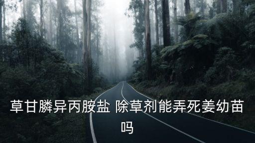 草甘膦異丙胺鹽 除草劑能弄死姜幼苗嗎