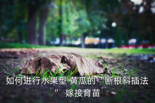黃瓜嫁接什么農藥好用,黃瓜可以嫁接到什么上