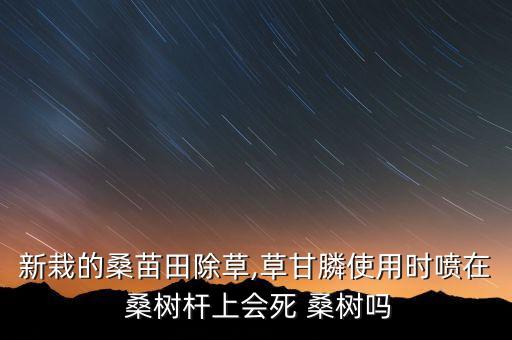 桑樹種植需要什么農藥,桑樹適合種植在什么地方