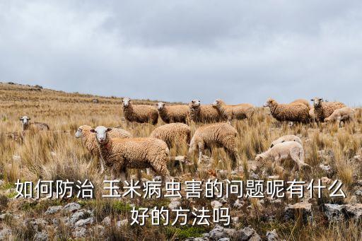 葉片上的蟲子用什么農藥,玉米生蟲子用什么農藥