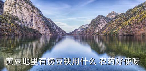 什么農藥能殺死大豆子,種植大豆用什么農藥