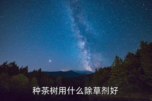 種茶樹用什么除草劑好