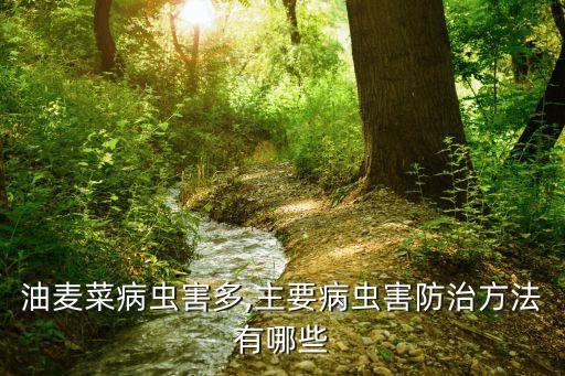 種油麥要打什么農(nóng)藥,油麥?zhǔn)裁磿r間種