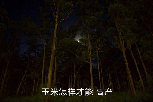玉米打什么農(nóng)藥可以高產(chǎn),玉米治蟲用什么農(nóng)藥好