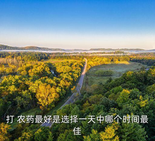 為什么農(nóng)藥不能晚上打呢,檸檬為什么需要打農(nóng)藥