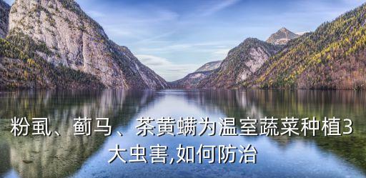 粉虱、薊馬、茶黃螨為溫室蔬菜種植3大蟲害,如何防治
