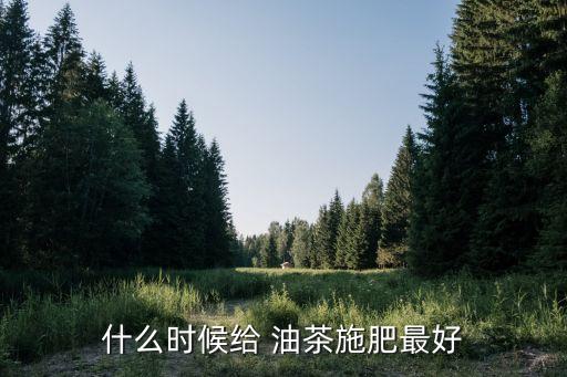 什么時候給 油茶施肥最好