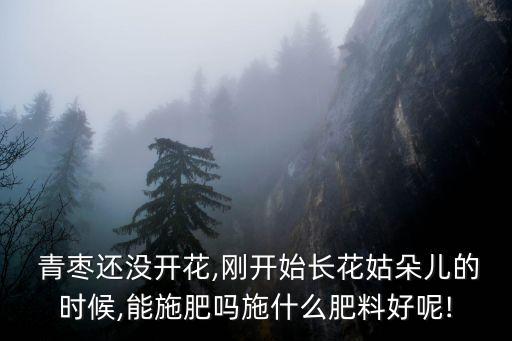  青棗還沒開花,剛開始長花姑朵兒的時候,能施肥嗎施什么肥料好呢!