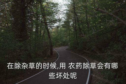在除雜草的時候,用 農藥除草會有哪些壞處呢