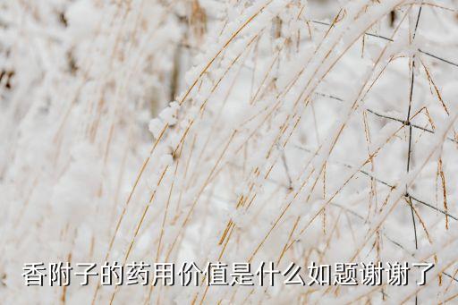 香附子的藥用價值是什么如題謝謝了