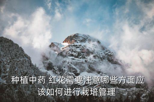 紅花種植打什么農(nóng)藥,種植大蔥用什么農(nóng)藥