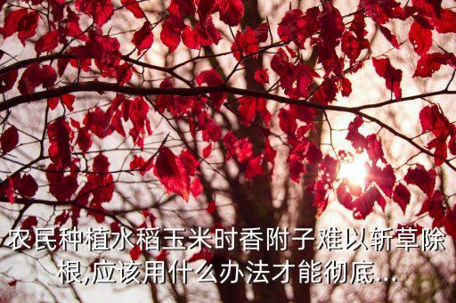 什么農(nóng)藥能徹底根除根