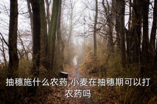 小麥抽穗施什么農藥,小麥在抽穗期可以打農藥嗎