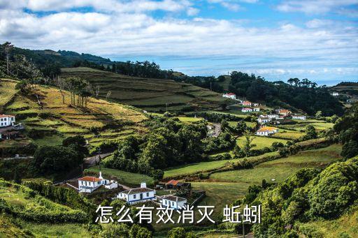 蚯蚓什么農(nóng)藥能引出來,殺蚯蚓用什么農(nóng)藥