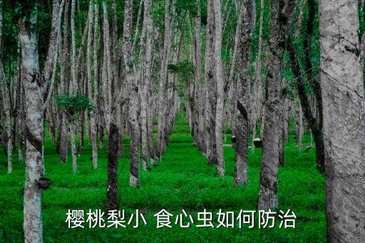 ,梨小食心蟲用什么農(nóng)藥最好