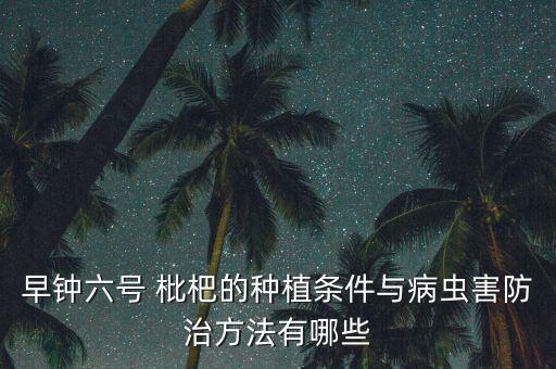 早鐘六號 枇杷的種植條件與病蟲害防治方法有哪些