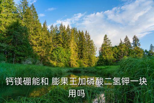 什么農藥膨果,辣椒爛果用什么農藥好