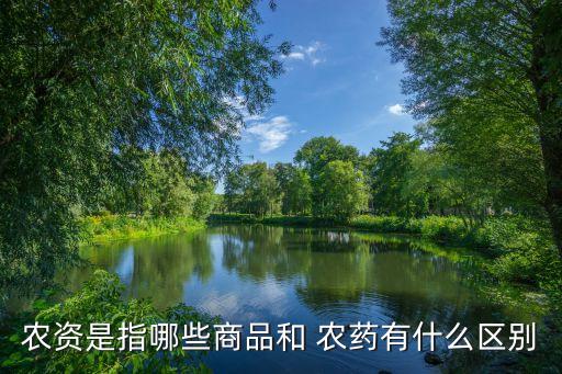 農藥生產投入什么意思,王者農藥什么意思