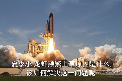  夏季小 龍蝦頻繁上草原因是什么,該如何解決這一問(wèn)題呢