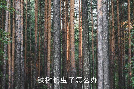 鐵樹(shù)殺蟲(chóng)用什么農(nóng)藥涂白,鐵樹(shù)打什么農(nóng)藥好