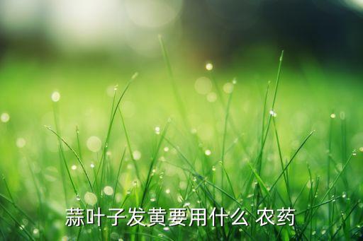 大蒜能打什么農藥好聞的,大蒜增產用什么農藥