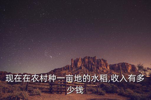 農藥種子什么價格一斤,種子農藥店需要什么手續