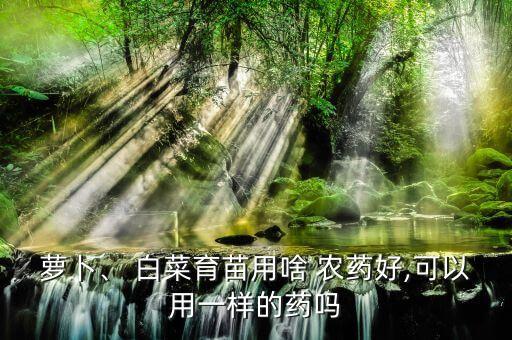 蘿卜、 白菜育苗用啥 農(nóng)藥好,可以用一樣的藥嗎