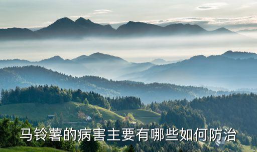 洋芋早疫病打什么農(nóng)藥,洋芋疫病用什么藥