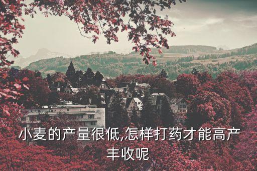  小麥的產量很低,怎樣打藥才能高產豐收呢