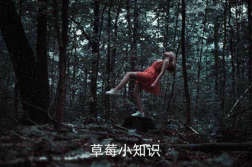 草莓小知識