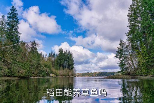 草茨藻用什么農藥,什么農藥能打死所有的草