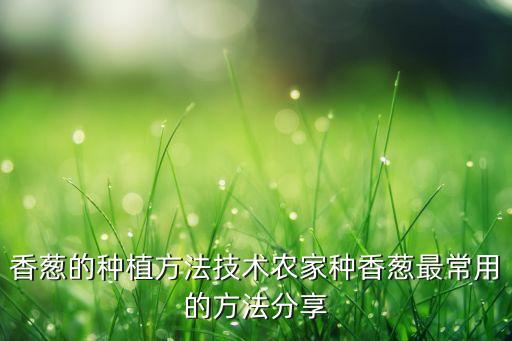 香蔥的種植方法技術農家種香蔥最常用的方法分享