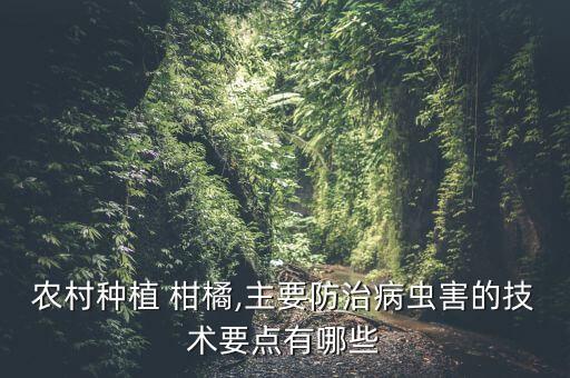 柑橘移栽前用什么農(nóng)藥