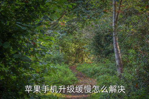  蘋果手機升級緩慢怎么解決