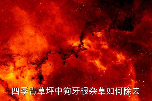 什么農藥對狗尾草有效
