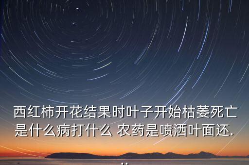  西紅柿開花結(jié)果時(shí)葉子開始枯萎死亡是什么病打什么 農(nóng)藥是噴灑葉面還...