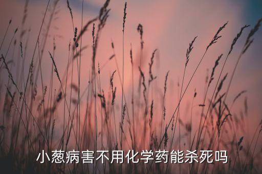  小蔥病害不用化學藥能殺死嗎