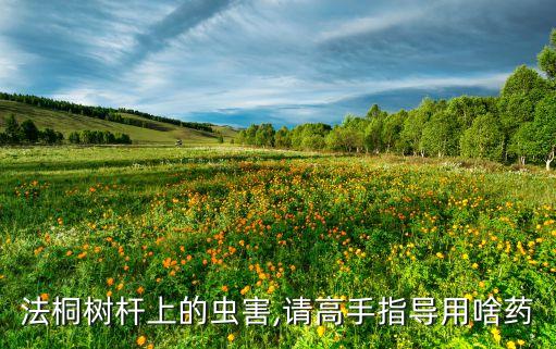 什么農(nóng)藥能毒死洋辣子,鳥用什么農(nóng)藥可以毒死